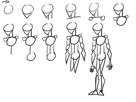 Simple Anatomy Drawing At Getdrawings Free Download