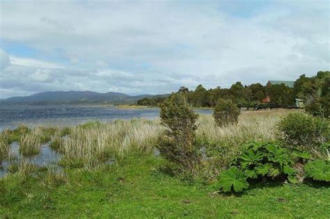 Chiloé National Park: Biodiversity & Beauty on Chiloé Island | LAC Geo