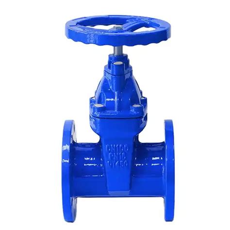 Pn Pn Ansi Soft Seal Flange Ductile Cast Iron Gate Valve China