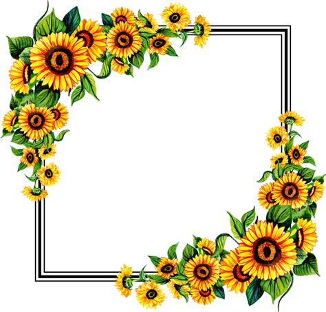 Sunflower Frame Transparent Background