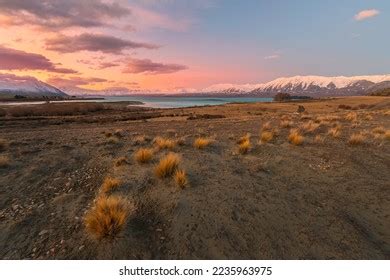 3,729 Lake Tekapo Sunset Images, Stock Photos, and Vectors | Shutterstock