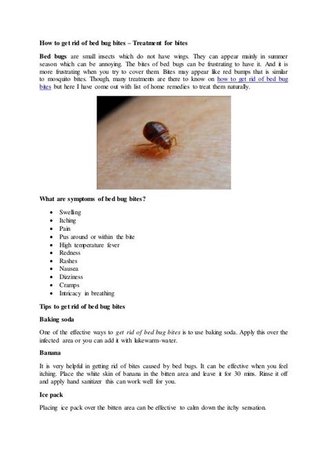 Bed Bug Bites And How To Get Rid Of Them Bed Western