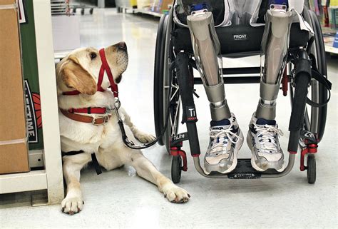 Thanks To Vantage And The Canadian Guide Dogs For The Blinds