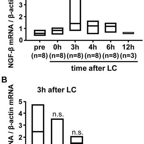 Activation Of Trpv1 By Capsaicin Results In Sensory Neuronal