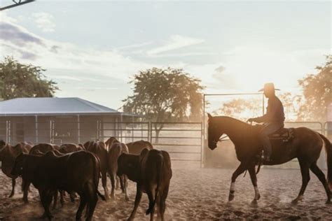 Qantas Australian Tourism Awards Presented In Darwin Australasian