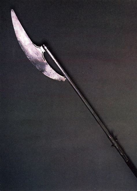 Бердыш-ружьё - Wikiwand