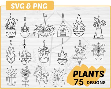 Plant Svg Bundle Hand Drawn Cut Files Hanging Plant Svg Etsy