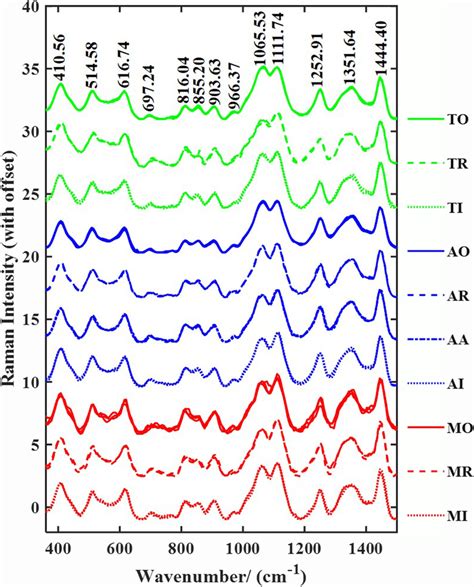 Fingerprint Region Of The Raman Spectra From All The Honey Samples