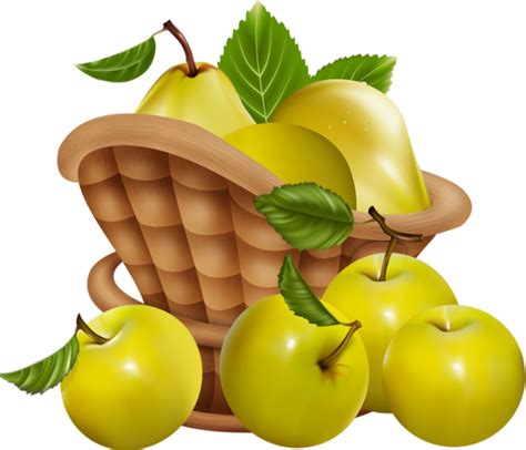 Pommes Png Dessin Tube Fruit Corbeille Apples Clipart