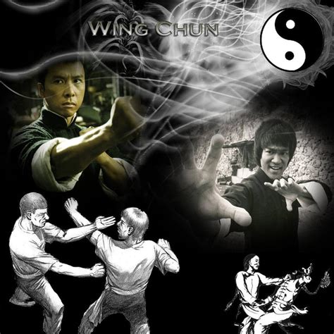 Wing Chun Wallpaper Wallpapersafari