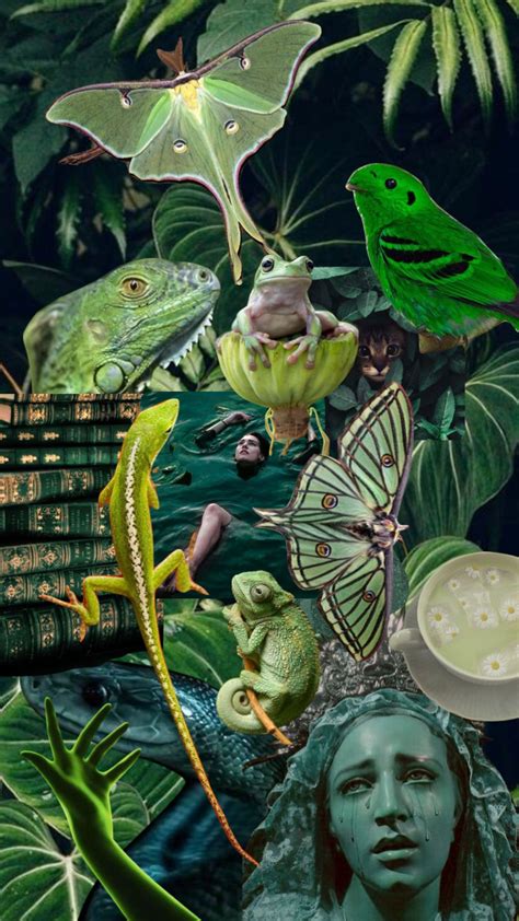 Green Moodboard Aesthetic Slytherin Snake Frog In 2022 Plant