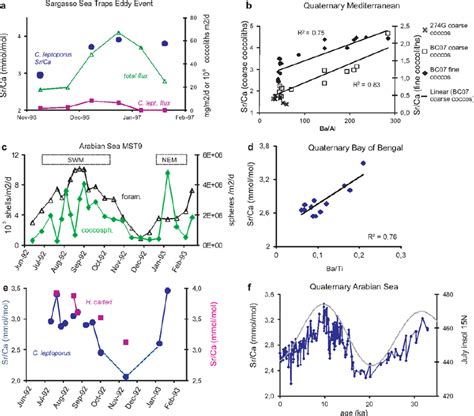 Figures Showing The Relationship Between Coccolith Sr Ca And