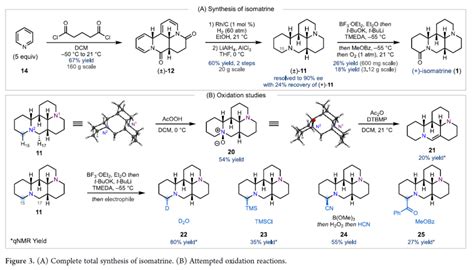 Jacs：吡啶的去芳构化策略用于matrine型lupin生物碱的全合成