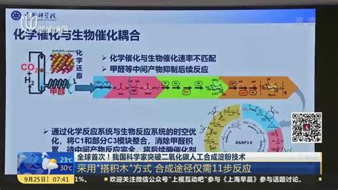 全球首次！我国科学家突破二氧化碳人工合成淀粉技术：采用“搭积木”方式 合成途经仅需11步反应凤凰网视频凤凰网