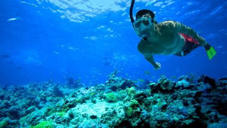 Hacer buceo con caliente japonés Telegraph