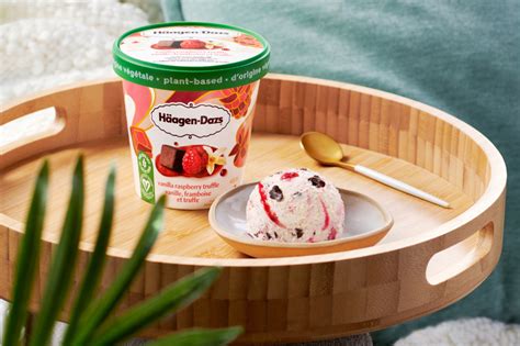 Haagen Dazs Plant Based Frozen Dessert Review