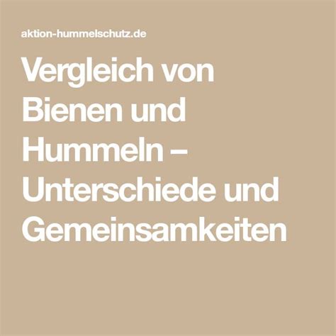 Vergleich Von Bienen Und Hummeln Unterschiede Und Gemeinsamkeiten