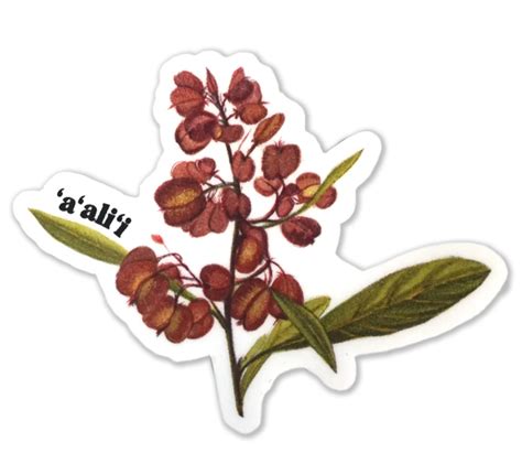 ʻaʻaliʻi Sticker Nā Mea Hawaiʻi