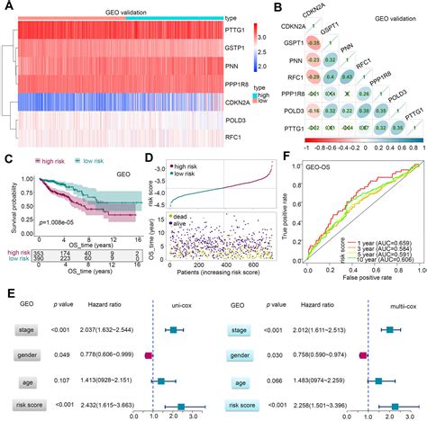 A Novel Investigation Into An E2F Transcription Factorrelated