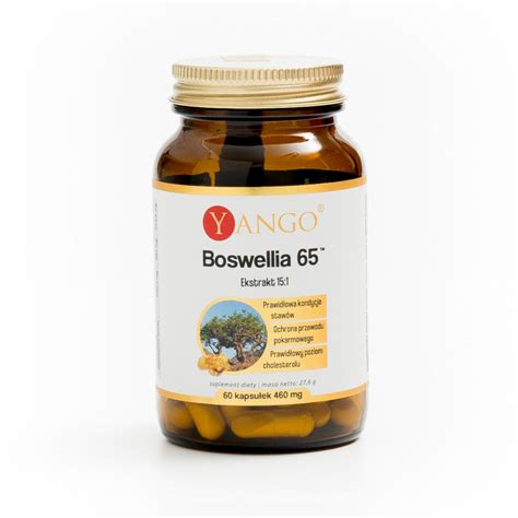 Boswellia65 ekstrakt 65 zawartości kwasów bosweliowych 60 kaps