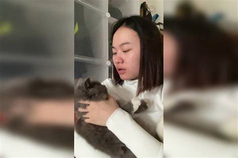 生活巡游记 可爱的小猫咪