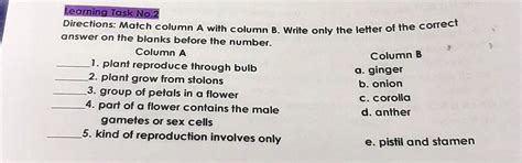 Directions Match Column A With Column B Write Only The Letter Of The