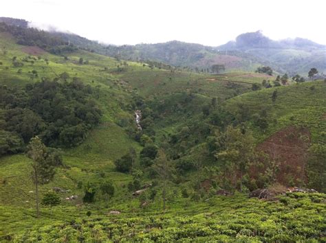 Kotagiri Villas And Holiday Homes Best Deals On Cozycozy
