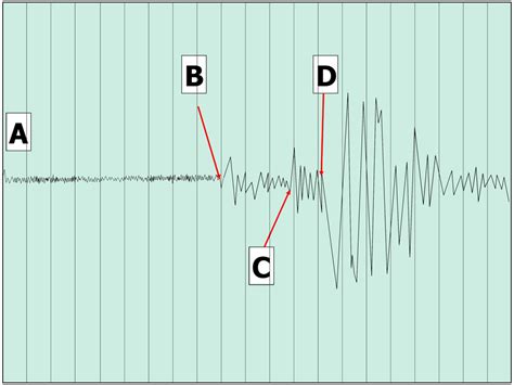 Solved QUESTION 11 What is the 'epicenter of an earthquake? | Chegg.com