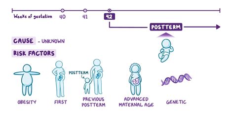 Postterm Infant Nursing Osmosis Video Library