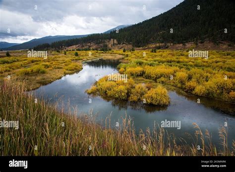 Golden Meadows Along A Meandering Stream In West Yellowstone Montana