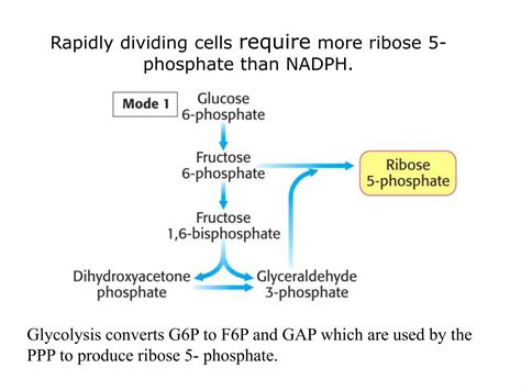 Hexose Monophosphate Shunt Pathway Hmp Pathway Ppt