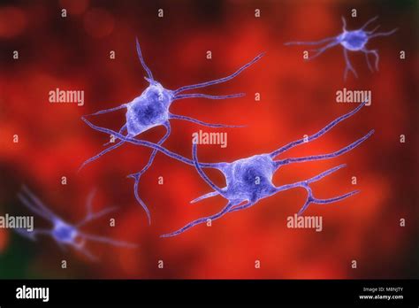 Nerve Cells Computer Illustration Of Nerve Cells Or Neurons Stock