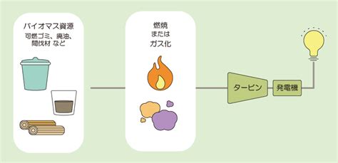 バイオマス発電とは？仕組みメリットを分かりやすく解説 Green＆circular 脱炭素ソリューション｜三井物産