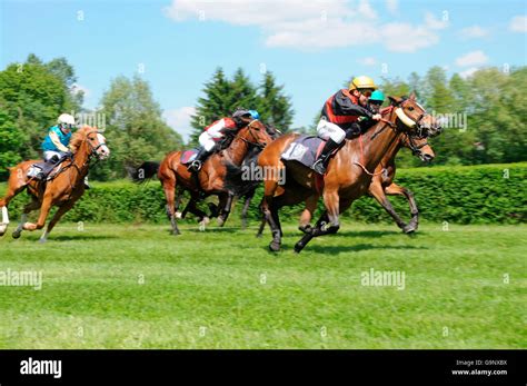 Turf Racing Hi Res Stock Photography And Images Alamy