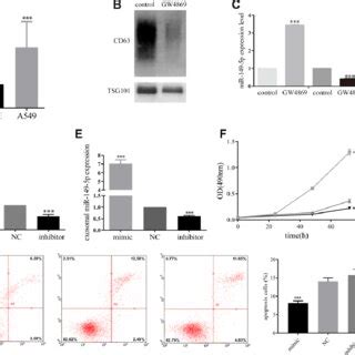 Identification Of Target Genes Of Exosomal MiR 149 5p A Venn Map Of