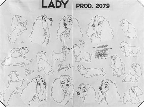 How To Draw Tramp From Lady And The Tramp