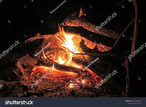 Big Log Fire On Dark Night Stock Photo 1837469428 Shutterstock