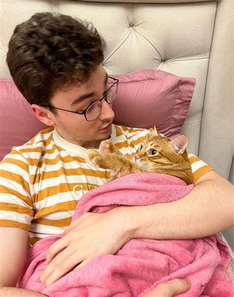 Funny Cute Cats People Gay Anime