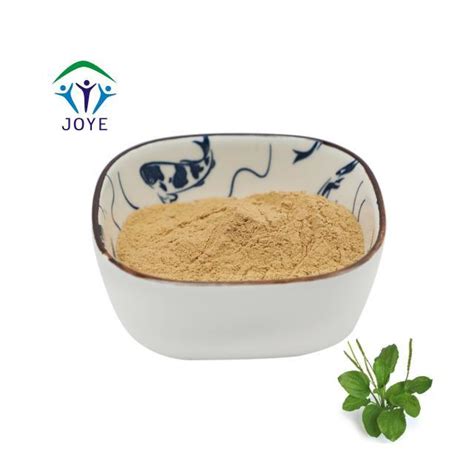 Plant Extract Bulk Natural Psyllium Seed Husk Extract Powder China Psyllium Seed And Husk