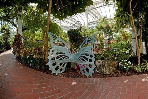 Key West Butterfly & Nature Conservatory is one of the very best things ...