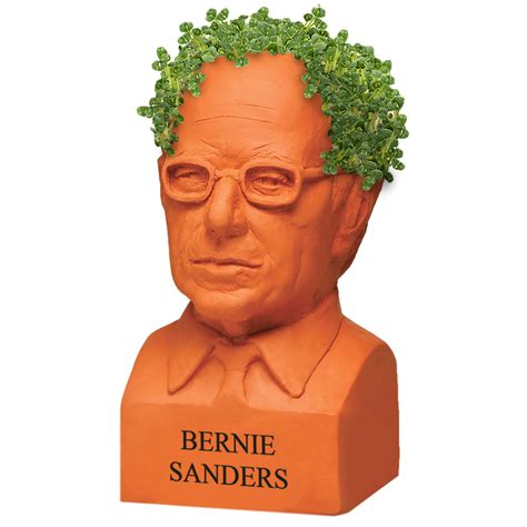 Bernie Sanders Chia Pet® - Chia.com