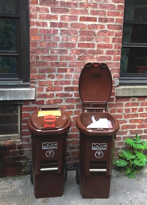 Commentary Let’s Restart Nyc Curbside Organics Collection With Yard Trimmings Biocycle