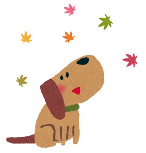 紅葉のイラスト「犬」 かわいいフリー素材集 いらすとや