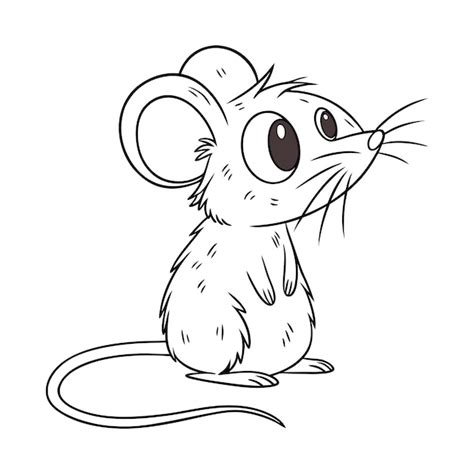 Muis Tekening Afbeeldingen Gratis Downloaden Op Freepik