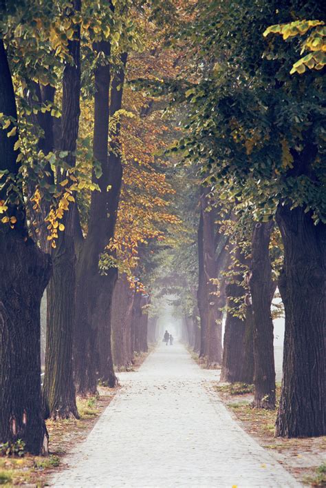 Кеј, Пирот Autor: Тањица Перовић | Country roads, Serbia, Road