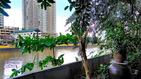 Pasig River Valenzuela Linear Park Makati Youtube