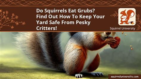 Do Squirrels Eat Grubs Keep Your Lawn Safe Squirrel University