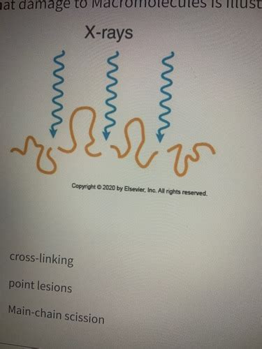 Ch.7 Flashcards | Quizlet 