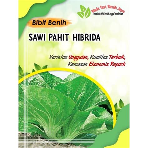 Jual Benih Sawi Pahit Hibrida 100 Biji Benih Sayuran Dan Bibit