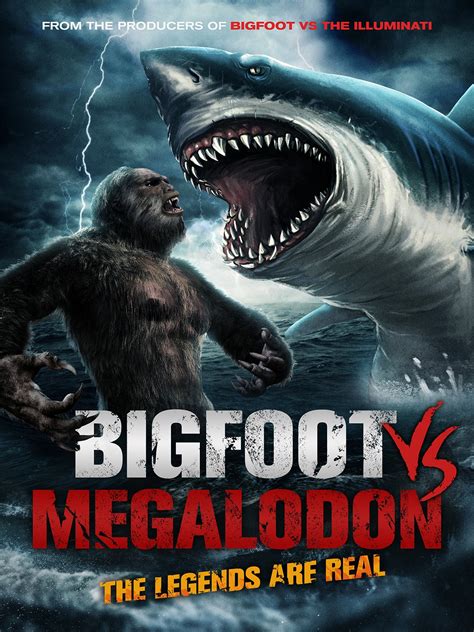 Megalodon Vs Godzilla